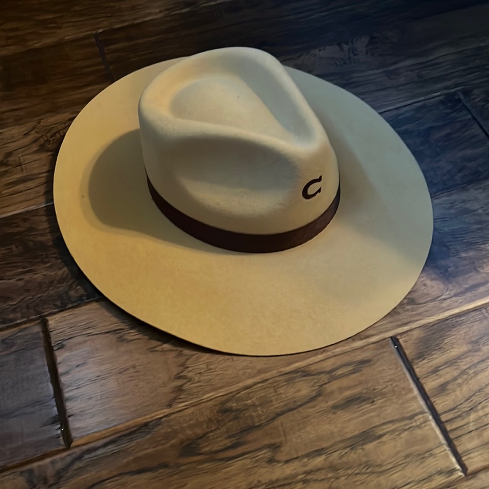 Never worn Charlie Horse Hat : size L